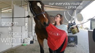 groom amp tack up with me  everyday tacking up routine [upl. by Jobey142]