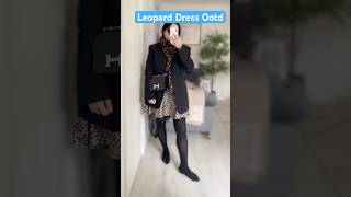 Feeling sassy in HampM Leopard dress amp LV leopard scarf with black blazer shoes amp bag shorts ootd [upl. by Hgielsa]