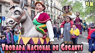 Encuentro Nacional de Gigantes Barcelona 2024 Celebration of 600 Years of Giants 4K [upl. by Lowis]