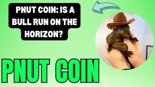 PNUT COIN UPDATE IN HINDI  PNUT COIN BUY OR SELL [upl. by Norrad135]