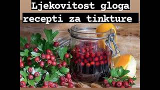 LJEKOVITOST GLOGA TRI RECEPTA ZA TINKTURE 🍃 [upl. by Oramug]