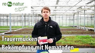 Trauermücken mit Nematoden bekämpfen [upl. by Ocramed]