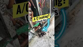 AC Leaking Inside RV [upl. by Aloeda]