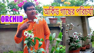 How to care for orchid plant BengaliEasy step for beginners [upl. by Eph]