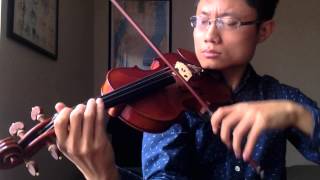 NFL Broadcast Theme Songs  Violin Cover [upl. by Lehacim]