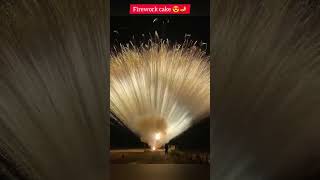 Amazing firework 💥 cake short [upl. by Oicelem]