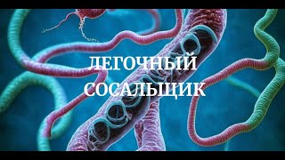 Легочный Сосальщик Paragonimus westermani Медицинская Паразитология Симптомы Цикл Диагностика [upl. by Sueaddaht741]