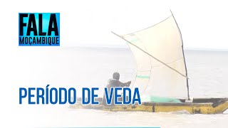 Autoridade Marítima de Sofala Alerta Pesca Durante o Período de Defeso e Veda Resultará em Prisão [upl. by Ycart]