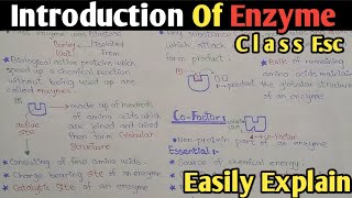 Introduction To Enzyme in biochemistry  Cofactor  Class 11 Biology [upl. by Opportina677]