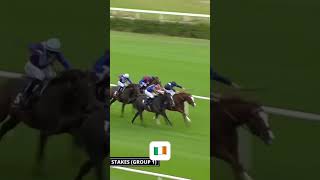 Economics lands the Irish Champion Stakes youtubeshorts horse horseracing horserace ireland [upl. by Gorlin]