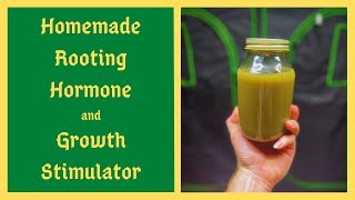 I Saved Thousands Of Dollars Using THIS Homemade Rooting Hormone and Plant Growth Stimulator [upl. by Reywas]