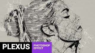 Skeletum  Plexus Art Photoshop Action Tutorial [upl. by Julienne]