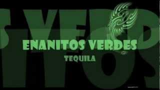 TequilaEnanitos Verdes con letra [upl. by Hildagarde400]