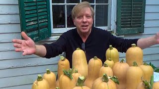 How to Harvest and Store Butternut Squash [upl. by Timrek12]