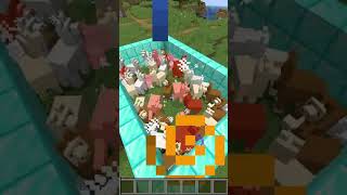 Are Minecraft Lamas Really Mad herobrinesmp minecraft minecraftshorts [upl. by Aisul]