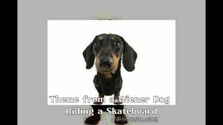 「♡Theme from a Wiener Dog Riding a Skateboard 🛹♡」 1hour [upl. by Slavin]