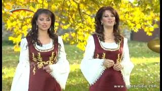 FOLK PALITRA–STOYAN GO MERAK NALEGNA  фолк палитра–стоян го мерак налегна [upl. by Kendricks]