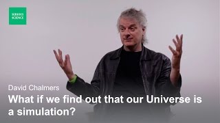 Skepticism and the Simulation Hypothesis — David Chalmers [upl. by Teodorico595]