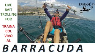 Kayak Fishing Live bait trolling for barracuda traina col vivo al barracuda [upl. by Oman]