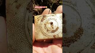 Ich bin verflucht schatzsuche metaldetecting metalldetektor sondeln [upl. by Hekking]