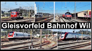 Zugsichtungen beim Gleisvorfeld des Bahnhof Wil Kanton StGallen Schweiz 2023 [upl. by Rellim]