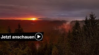 📷 Abenteuer Schwarzwald Kurzfilm Making Of mit Simon Straetker 🎬🌲 [upl. by Dasa]