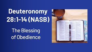 Deuteronomy 28114 The Blessings of Obedience [upl. by Ayama584]