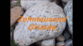 Zehntausend Gründe Lied [upl. by Ecydnak]