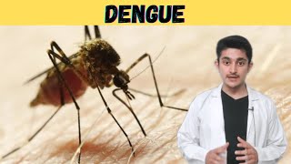 Dengue 3d animation  cause symptom prevention  shock syndrome  hemorrhagic fever  mosquito hindi [upl. by Sukram333]