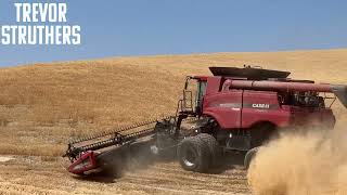 Combine nearly went off the edge  Grain Hogs S02E10 [upl. by Elakram363]