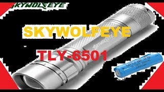 SKYWOLFEYE TLY 6501 LED FLASHLIGHT REVIEW [upl. by Palladin472]