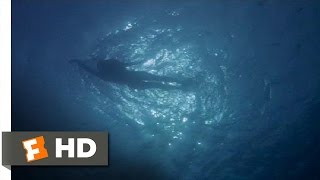 Jaws  Restoring the Film  Bluray Bonus Feature Clip [upl. by Aissatsana]