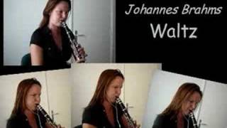 WaltzBrahms as a quartet for clarinet [upl. by Rorrys]