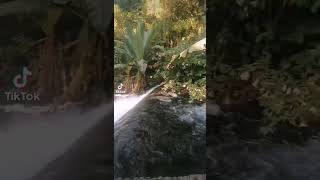 Uruapan Michoacan México ❤️🤠🌵 de mis lugares favoritos fypシ゚viral hermosa [upl. by Laeynad]