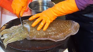 Amazing Giant Cuttlefish  Tuna、Eel 、Sunfish  Cutting and Cooking [upl. by Nylirad]