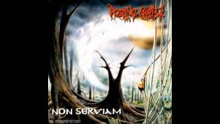 Rotting Christ  Non Serviam Lyrics HD [upl. by Llednyl]