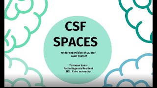 Anatomy of CSF spaces Dr Yassmine Samir [upl. by Dulcle]