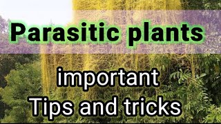 Parasitic plants  Trick and quick revision of parasitic plants  CLOS [upl. by Ramej]