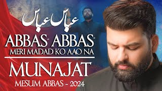 Abbas Abbas Meri Madad Ko Aao Na  Mesum Abbas Nohay 2024  Munajat Mola Abbas Noha [upl. by Ardnohsed]