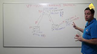 Introduction to VTP VLAN Trunking Protocol [upl. by Milla202]