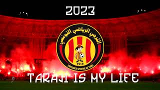 2023 كوكتال أفضل أغاني فيراج الترجي [upl. by Giannini546]