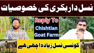 Reply To Chishtian Goat Farm  Characteristics of Good Quality Goats  Dr Noman Ali [upl. by Easter]