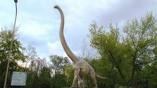 Brachiosaurus the longnecked dinosaur [upl. by Tessy]