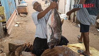 KASIMEDU MARKET 🐟 GAINT BIG EYE TREVALLY FISH CUTTING [upl. by Cailly]