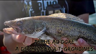 Pêche au doré à DeschambaultGrondines  Sixième Sens [upl. by Cirda]