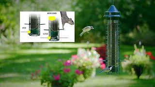 Squirrel Buster Finch Wild Bird Feeder [upl. by Aemat]