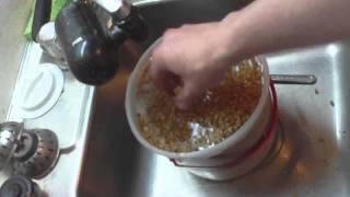 HOMEBREW HOW TO make malted barley [upl. by Cal]