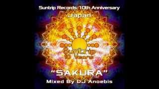 Suntrip 10 Years GOAMIX [upl. by Olivier148]