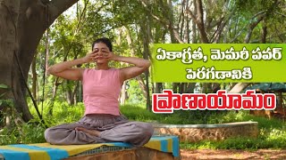 Bhramari Pranayama  Pranayama For Beginners  Manthena Satyanarayana Raju Videos [upl. by Derzon989]