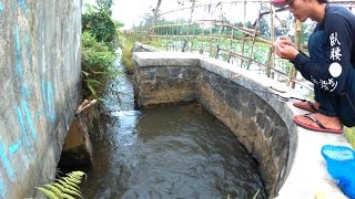 Mancing di Selokan Pakai Umpan Tahu [upl. by Raasch]